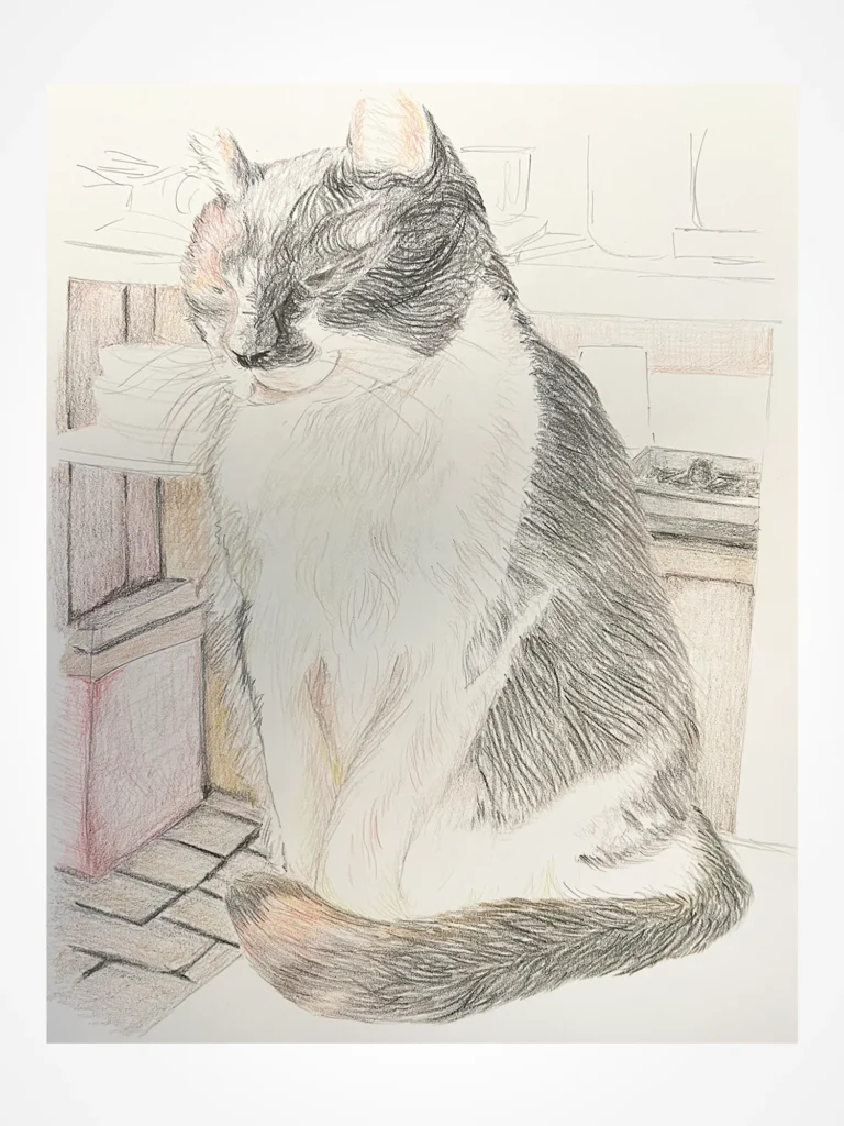 Coloured pencil drawing on drawing paper of Ken, a grey and white cat with a thick bushy tail, sitting on a tiled kitchen floor in a farmhouse with his head lowered and his eyes closed. Original artwork by M.K. Flint.